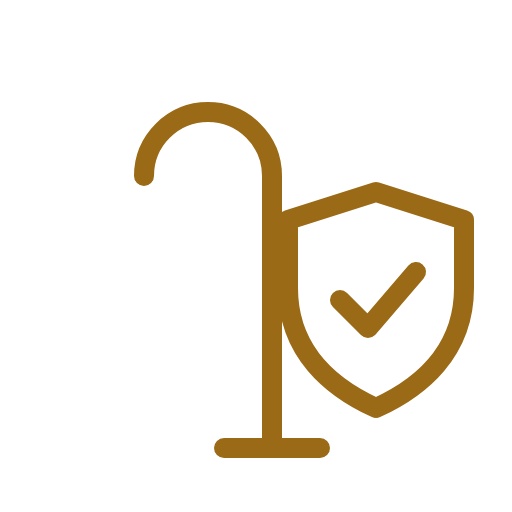 Elder abuse restraining order defense icon – cane with a protective shield